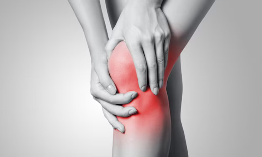 Knee Pain Workshop